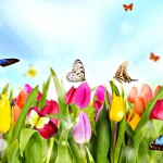 A képen tavaszi jelenet látható, melyen pillangó repül a virágokkal teli réten