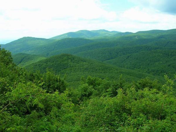 A képen a Börzyöny hegycsúcsai láthatóak nyáron, mindegyik zöldellik