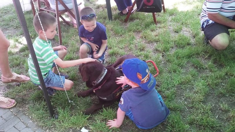 A rákosmenti majális gyereklátogatói egy vakvezető kutyust simogatnak