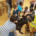 Kutyát simogatnak a diákok a kispesti érzékenyítésen