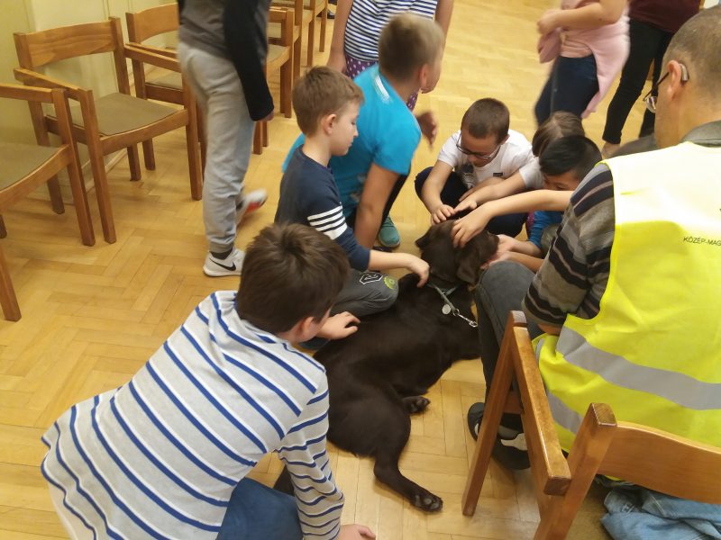 Kutyát simogatnak a diákok a kispesti érzékenyítésen
