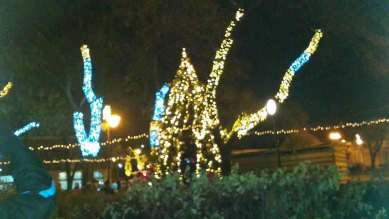 A kispesti ünnepség fényei láthatók a képen, a fák fel vannak díszítve ledekkel