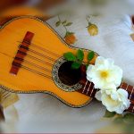 A képen egy charango látható, amely egy andoki húros hangszerfajta. Húrjain két fehér virág látszik.