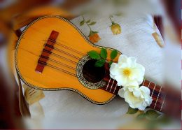 A képen egy charango látható, amely egy andoki húros hangszerfajta. Húrjain két fehér virág látszik.