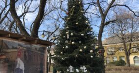 A kispesti Templom téren feldíszített karácsonyfa