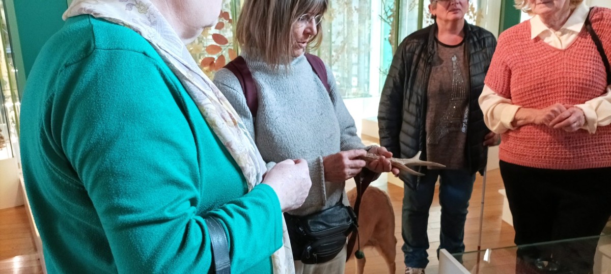 Látogatás a Magyar Természettudományi Múzeumba - a tagok egy agancsdarabot tapintanak.