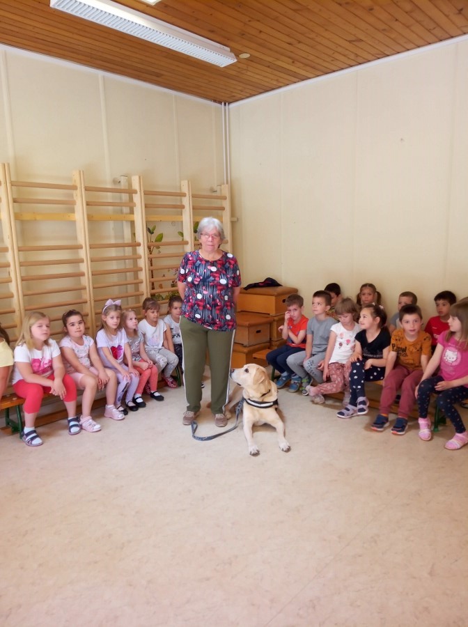 Szemléletformáló foglalkozás az Óbudai Mesevilág Óvodában - Panka és kutyusa, Hablaty a gyerekekkel.