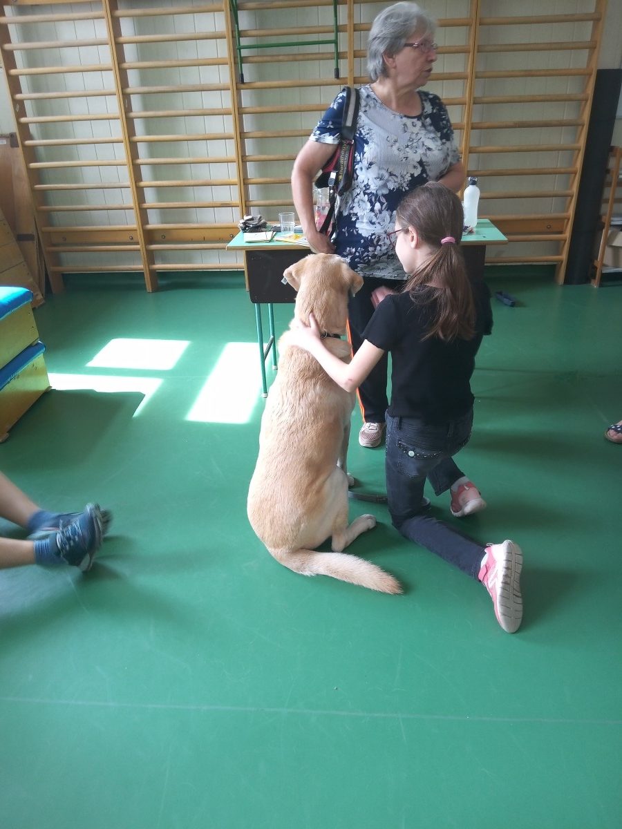 Júniusi szemléletformáló programok - Panka szemből látszik, egy kisfiú Hablatyot simogatja.