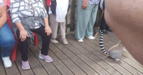 Néhány résztvevő a Maki-erdőben